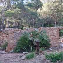 Ruins on the path between Cala Mesquida and Cala Rajada